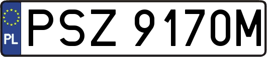 PSZ9170M