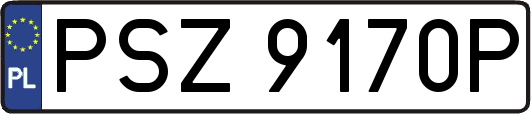 PSZ9170P