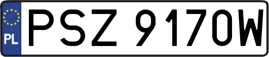 PSZ9170W