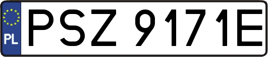 PSZ9171E