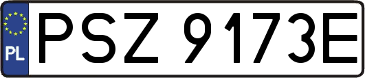 PSZ9173E