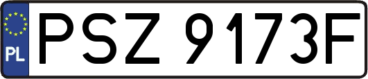 PSZ9173F