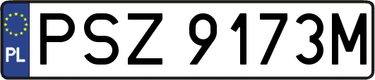 PSZ9173M
