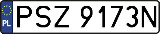 PSZ9173N