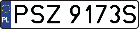 PSZ9173S