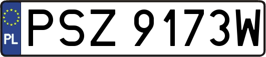 PSZ9173W