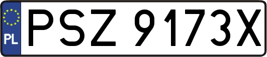 PSZ9173X