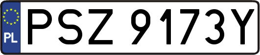 PSZ9173Y