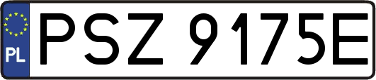 PSZ9175E