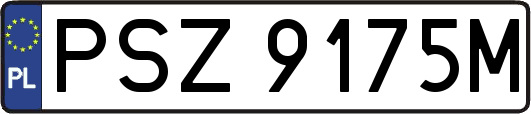 PSZ9175M