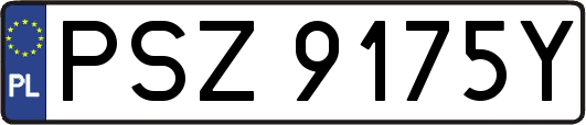 PSZ9175Y