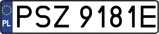 PSZ9181E