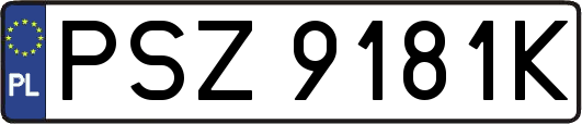 PSZ9181K