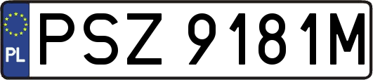 PSZ9181M