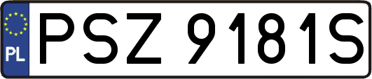 PSZ9181S