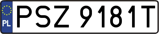 PSZ9181T