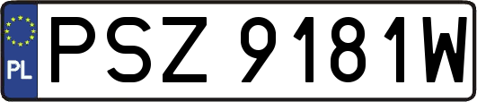 PSZ9181W
