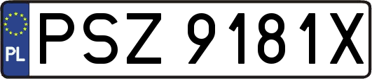 PSZ9181X