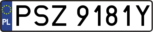 PSZ9181Y