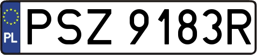 PSZ9183R