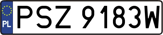 PSZ9183W