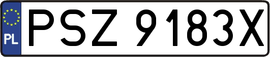 PSZ9183X