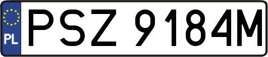 PSZ9184M
