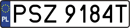 PSZ9184T