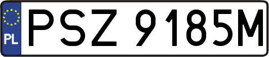 PSZ9185M