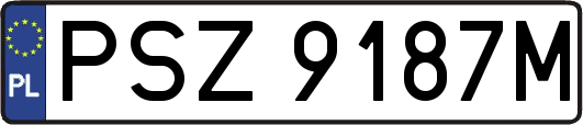 PSZ9187M
