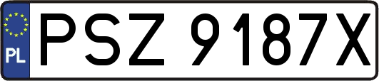 PSZ9187X