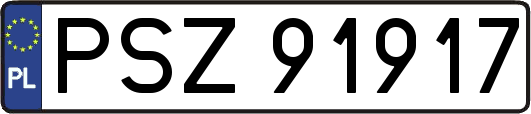 PSZ91917