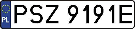 PSZ9191E