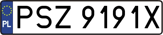 PSZ9191X