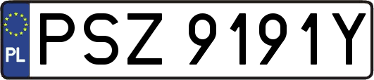 PSZ9191Y