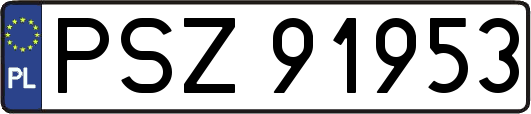 PSZ91953