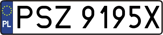 PSZ9195X