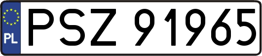 PSZ91965