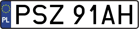 PSZ91AH