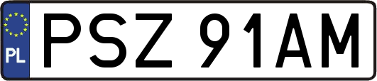 PSZ91AM