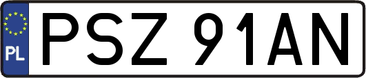 PSZ91AN