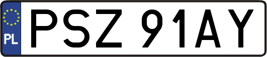 PSZ91AY