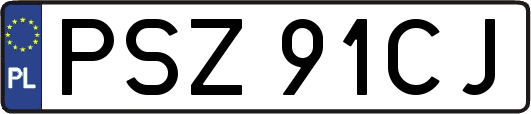 PSZ91CJ