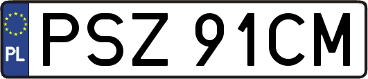 PSZ91CM