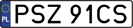 PSZ91CS