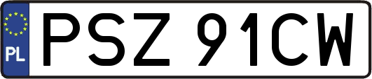 PSZ91CW
