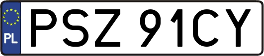 PSZ91CY