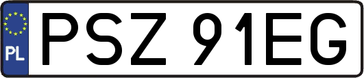 PSZ91EG