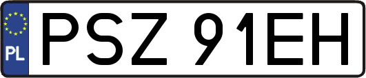 PSZ91EH