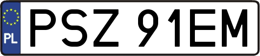 PSZ91EM